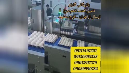 خرید کلیه مشتقات کشتارگاهی دامی وطیور