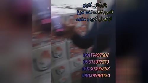 خرید کلیه مشتقات کشتارگاهی دامی وطیور