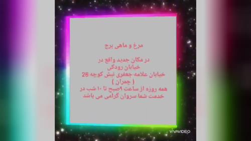 مرغ فروشی در اصفهان 