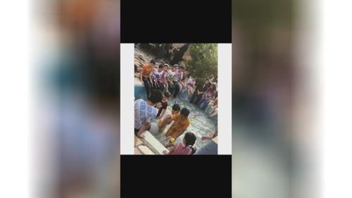 مزرعه طبیعت