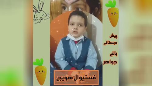فستیوال هویج