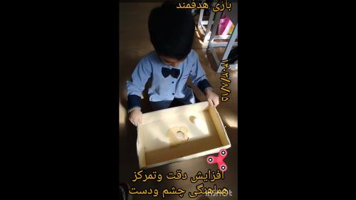 بازی هدفمند