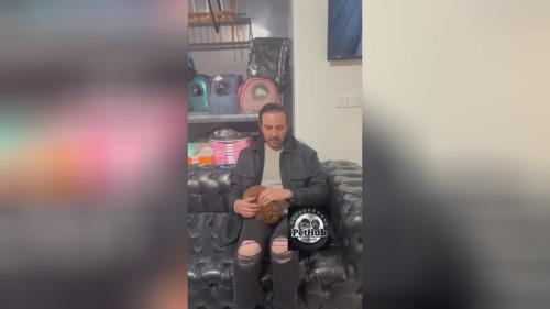 قیمت سگ پودل 