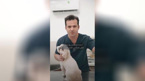 نکته ی بسیار مهم در مراقبتهای بهداشتی در قیمت سگ پودل