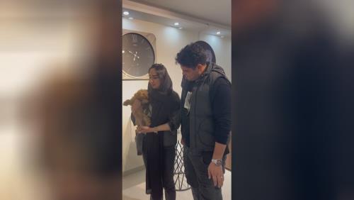 رضایت مشتری از قیمت سگ پودل😍 📍سعادت آباد سرو غربی📍 💎پت هاب بزرگترین وارد کننده و تخصصی ترین تولید کننده سگ نژاد پامرانین در ایران برای اطلاعات بیشتر و دریافت لوکیشن با شماره زیر تماس بگیرید💎 09123035836 ⭐️صحرایی 👉 09124284780 09305629393