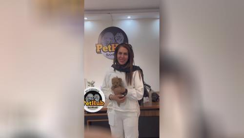 رضایت مشتری از قیمت سگ پودل