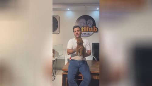 قیمت سگ پودل 