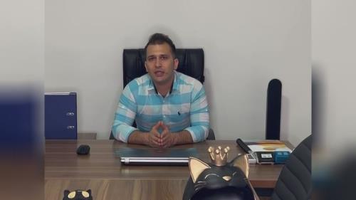 خرید پامرانین خرسی 