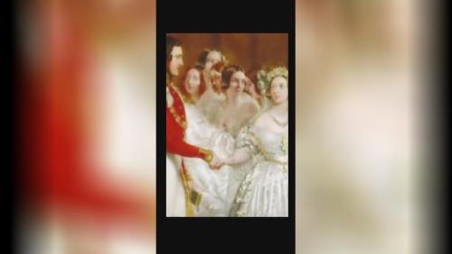 خرید پامرانین خرسی 