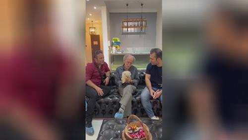 خرید پامرانین خرسی 