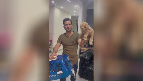 ارسالی به بندر عباس😍 قیمت سگ پودل 📍سعادت آباد سرو غربی📍 💎پت هاب بزرگترین وارد کننده و تخصصی ترین تولید کننده سگ نژاد پامرانین در ایران برای اطلاعات بیشتر و دریافت لوکیشن با شماره زیر تماس بگیرید💎 09123035836 ⭐️صحرایی 👉 09124284780 09305629393 ⭐️