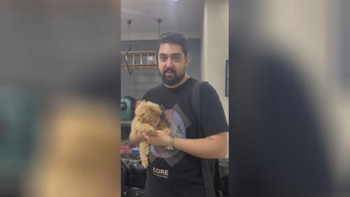 رضایت مشتری از قیمت سگ پودل