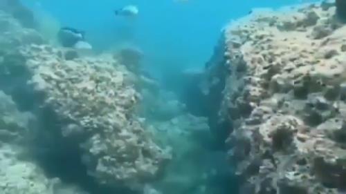 تفریحات آبی کیش