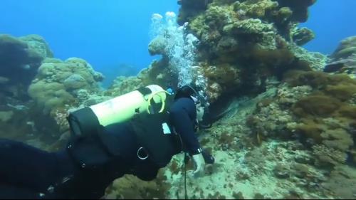 تفریحات آبی کیش