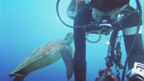 تفریحات آبی کیش