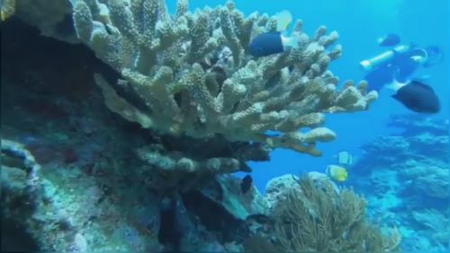 تفریحات آبی کیش