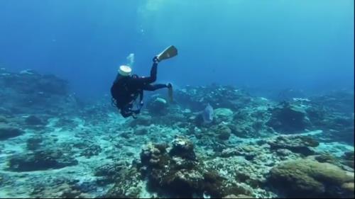 تفریحات آبی کیش