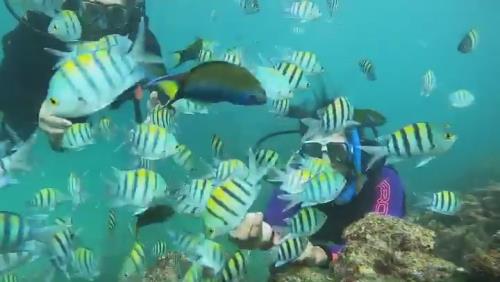 تفریحات آبی کیش