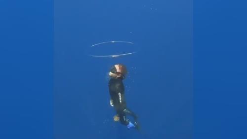 تفریحات آبی کیش