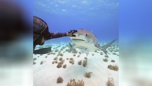 تفریحات آبی کیش