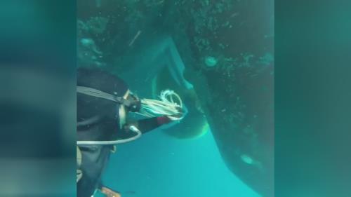 تفریحات آبی کیش