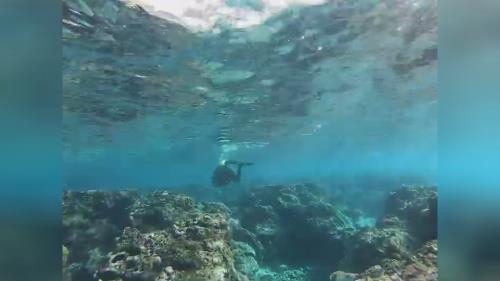 تفریحات آبی کیش