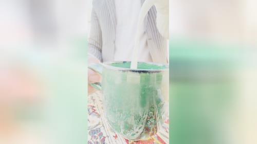 ماست و دوغ بوعلی سینا