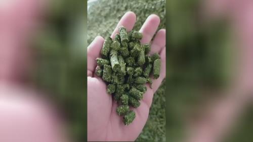 پلت علوفه و یونجه هپی بانی