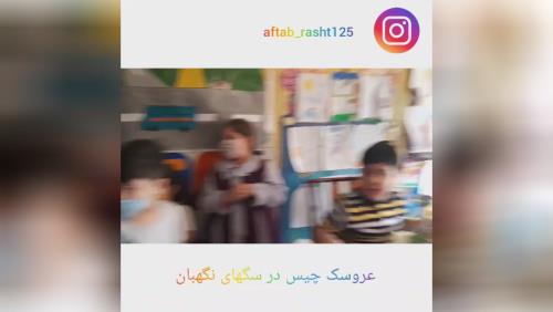 بهترین گروه کودک در رشت