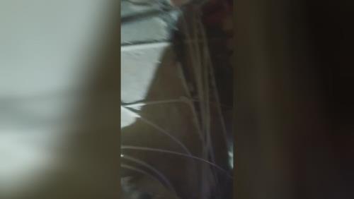 برقکار سیار کرج