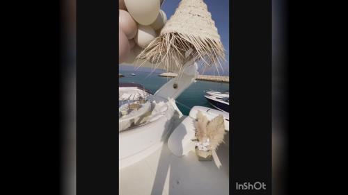 تم تولد با مدیریت خانم احمدی 09111951815