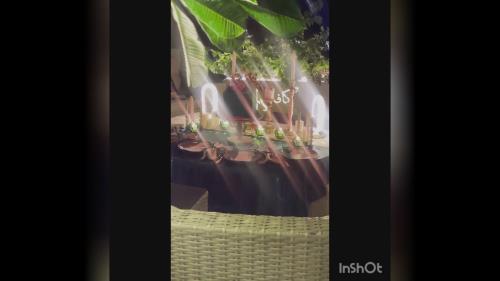 تم تولد با مدیریت خانم احمدی 09111951815