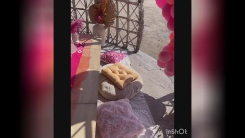 تم تولد با مدیریت خانم احمدی 09111951815