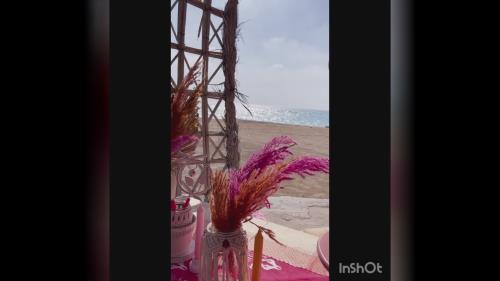 تم تولد با مدیریت خانم احمدی 09111951815