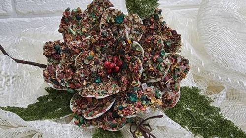 مروارید دریا 