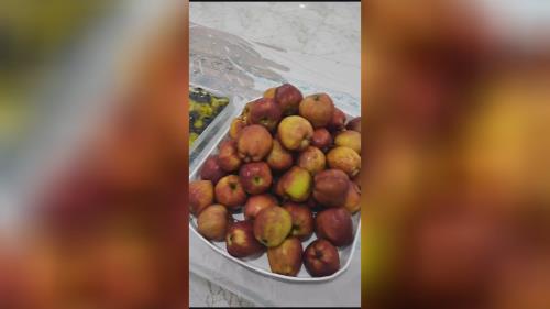 بهترین تور کربلا در کرج