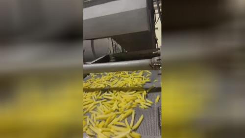 تولید و صادرات سیب خلال نیمه سرخ شده منجمد 