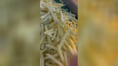 تولید و صادرات سیب خلال نیمه سرخ شده منجمد 