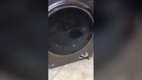 نمایندگی تعمیرات لوازم خانگی
کد747