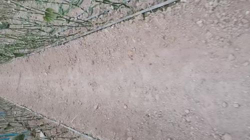 کود فرآوری شده در اصفهان