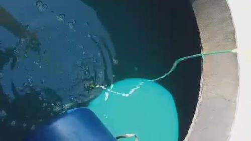  فلاشینگ نما تهران