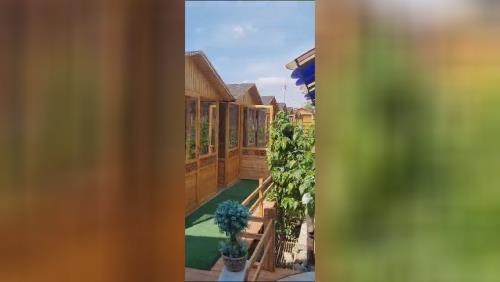 ساخت کلبه چوبی وآلاچیق